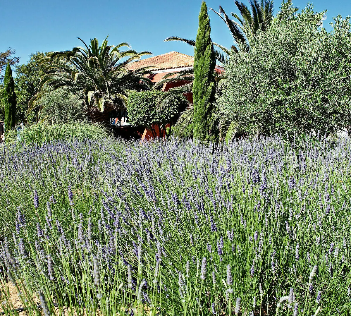 Belambra Clubs Presqu'Ile De Giens - Riviera Beach Club Hyeres France